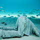 Illustration for article titled The Astonishing Treasures of Underwater Art Galleries